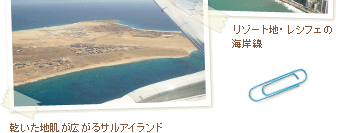 �������n�����L����T���A�C�����h