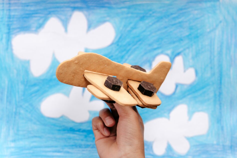 新商品案内】お菓子で組み立てる飛行機「メカサブレ飛行機セット」が 